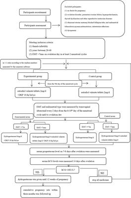 Traditional Chinese medicine Dingkun pill to increase fertility in women with a thin endometrium—a prospective randomized study